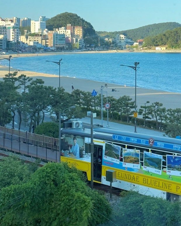 유명 관광지 부산 송정해수욕장 최일선 유명 커피 전문전 건물 2번째 사진