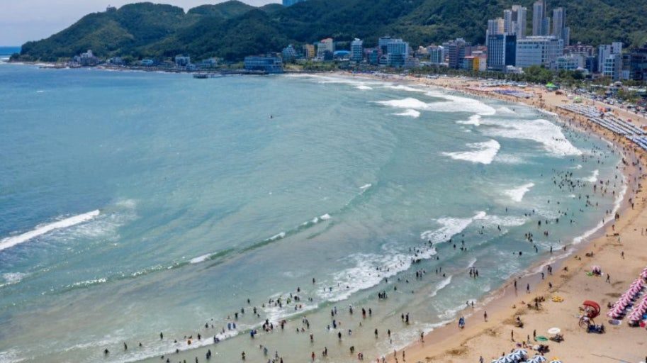 부산 송정해수욕장 1분거리 게스트하우스 임대